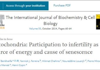 MSERM – Mitochondria: Participation to infertility as source of energy and cause of senescence