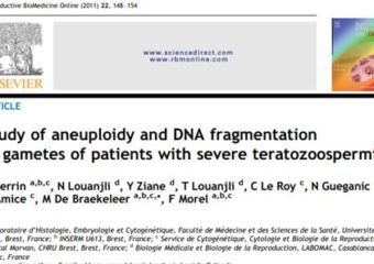 MSERM – Study of aneuploidy and DNA fragmentation in gametes of patients with severe teratozoospermia